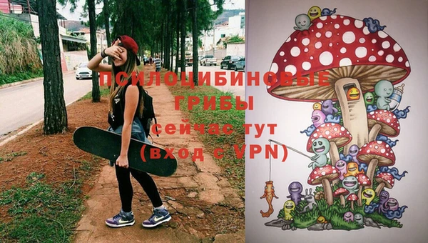 гашик Наволоки