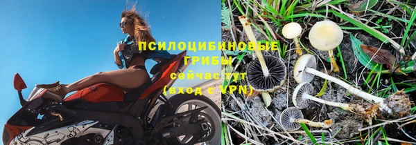 гашик Наволоки