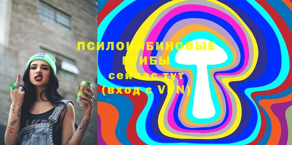 гашик Наволоки