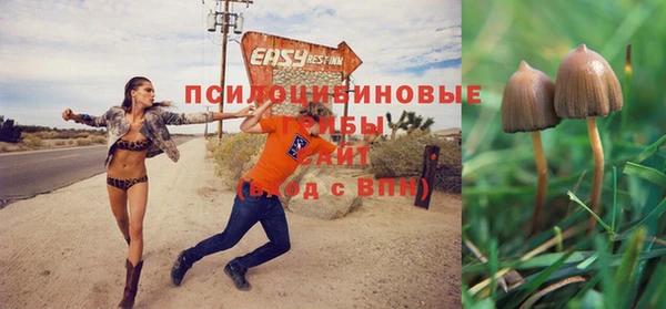 гашик Наволоки