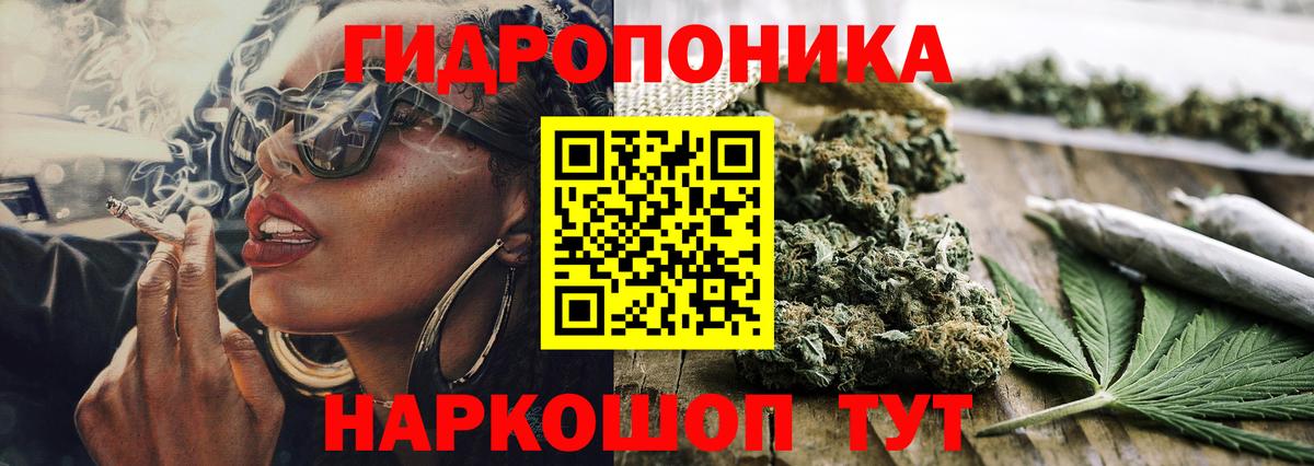 Каннабис конопля  Елабуга  Каннабис план  Бошки Шишки конопля  Каннабис White Widow 